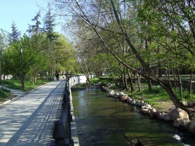 Прикрепленное изображение: sn4.jpg